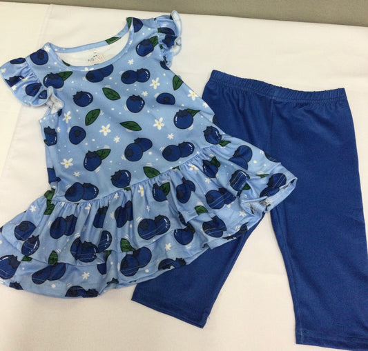 Blueberry Bushel Set